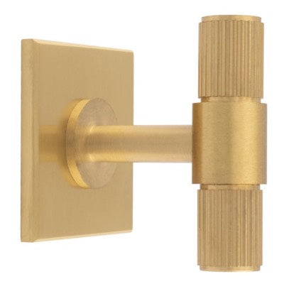 Carlisle-Brass-Harmonise-Lines-T-Bar-Cupboard-Knob-on-Backplate-Satin-Brass-FTD711SB40SB