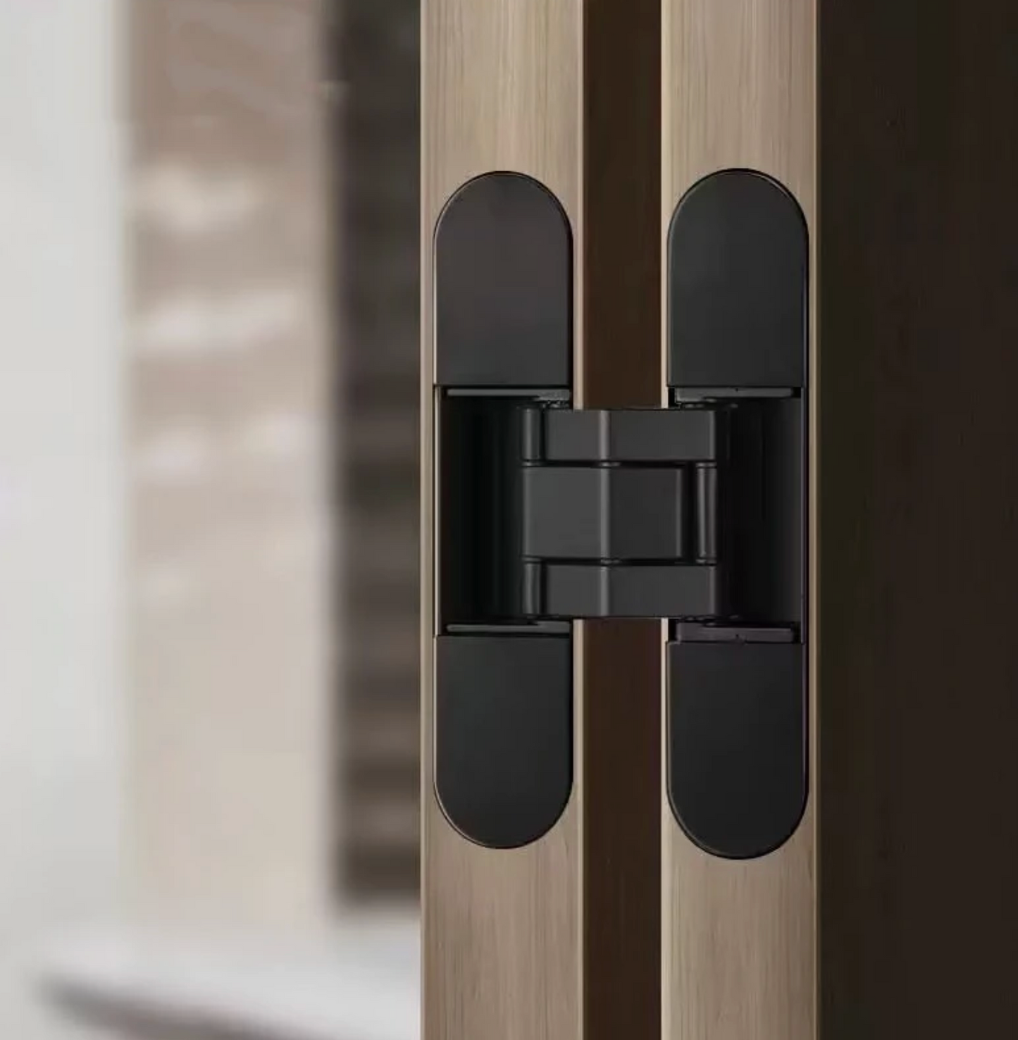 Ceam 3D Door Concealed Adjustable Hinges 1230