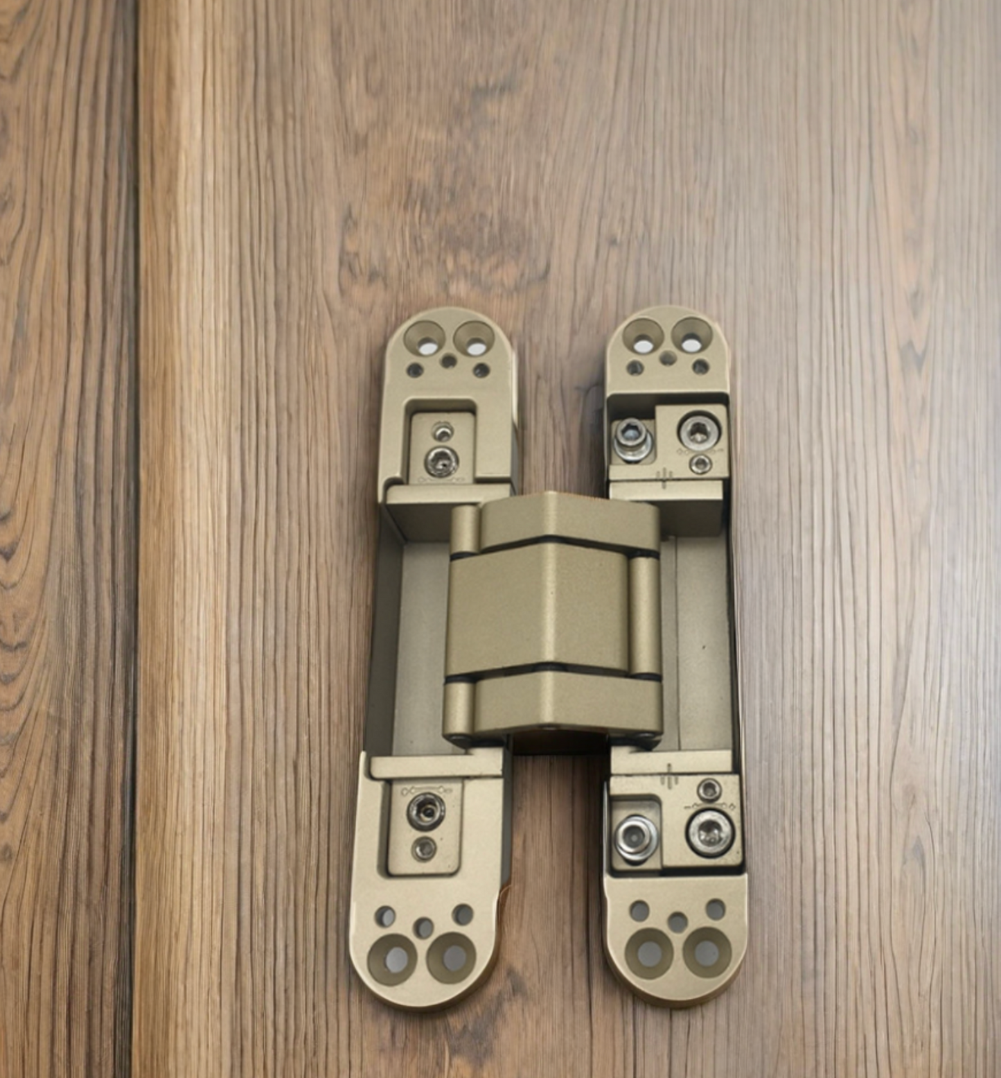 Concealed Adjustable Invisible Door Hinge Antique Brass